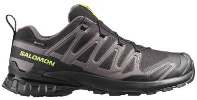 Image de Baskets Salomon XA PRO 3D V9 GTX pour Homme