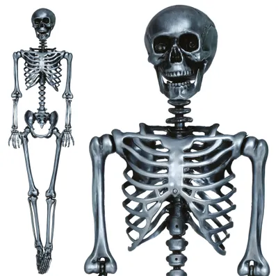 Image de Figurine d'Halloween squelette 90cm argent