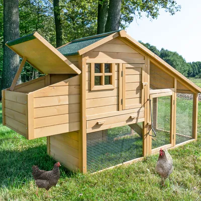 Produktbild von zooprinz Hühnerstall Komfort XXL | 205x118x75cm (BxHxT) | Wetterfest | Kiefernholz | Kotschublade