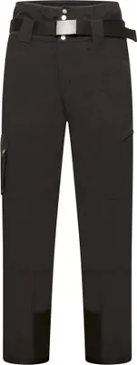 Obrázek produktu pro Dare 2B - Pánské lyžařské kalhoty "Absolute II" RG8557 (XXL) (Black)