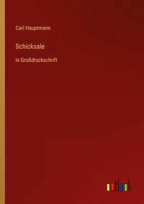 Produktbild von Schicksale