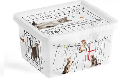 Obrázok produktu pre C Box Style Pets Collection XXS 2l
