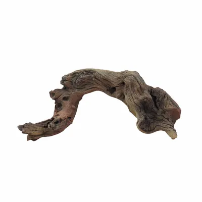 A piece of driftwood on a white background.