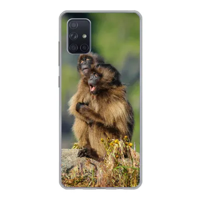 Produktbild von MuchoWow® Handyhülle Schutzhülle Hülle für Samsung Galaxy A71 Affen - Pflanzen - Steine - Familie Silikon Softcase Handy Hülle - Kartenbesitzer