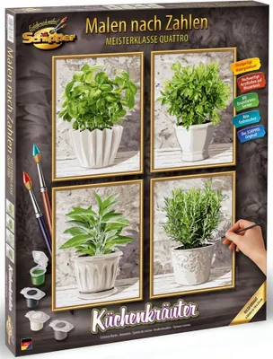Produktbild von Noris Spiele Malen nach Zahlen - Küchenkräuter (Quattro); 609340687