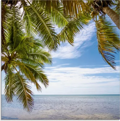 Produktbild von ARTland Glasbild Florida Keys Das Meer Größe: 20x20 cm