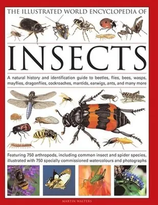 Obrázek produktu pro The Illustrated World Encyclopaedia of Insects