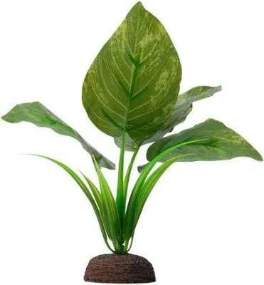 Obrázok produktu pre Fluval Plant Varigated Lizard's 15cm