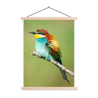 Produktbild von MuchoWow® Textilposter Vogel - Tiere - Bienenfresser 40x53 cm mit holzfarbenen Rahmen - Schlafzimmer