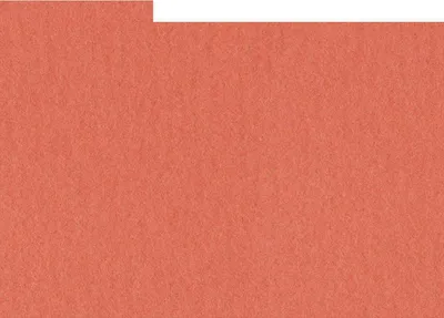 Obrázek produktu pro HNFD 10 rozdělovacích karet do fotoboxů 15x20 cm Corallo