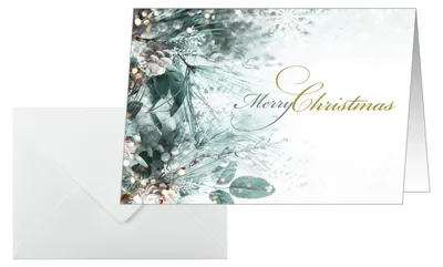 Immagine prodotto di SIGEL DS086 25 SIGEL Weihnachtskarten Eucalyptus magic DIN A6