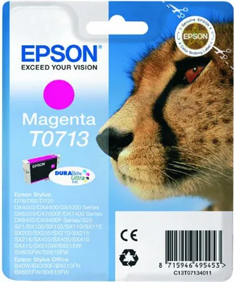 Image de Epson T0713 Cartouche d'impression