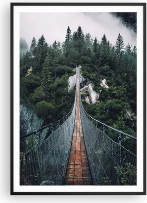 Produktbild von Gerahmtes Poster - Schwarzer Rahmen - Ausgesetzt Brücke Wald - 70x100 cm - Wand Bild - Wanddeko - Wandbilder - Kunstposter - Wandposter - Bilderrahmen - Bilder - Kunstdruck - P2BPA70x100-5189