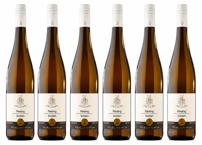 Produktbild von Riesling trocken 2025 Pfalz Weingut frischer Weißwein 6 x 0,75 l