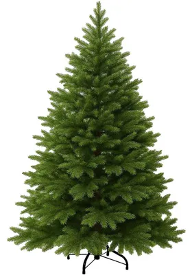 Immagine prodotto di Albero di Natale NORDMANN 150 in polietilene verde 112x150 cm
