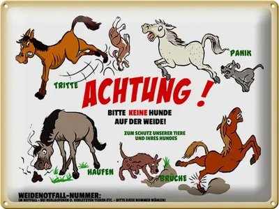 Produktbild von Blechschild Achtung keine Hunde auf Weide, 40x30 cm, Blechschilder Bauernhof Landwirt Tiere