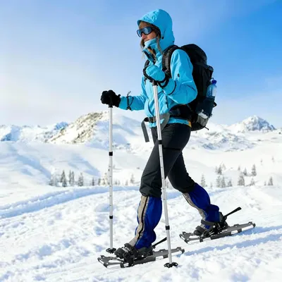 Produktbild von "Schlussverkauf" 3 in 1 Schneeschuhe - VIDAXL - mit Wanderstöcken Silber und Schwarz C17770