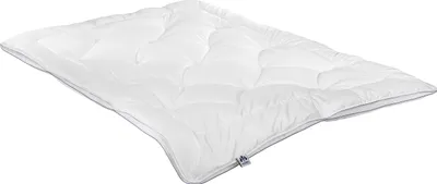 Produktbild von 4-Jahreszeiten-Steppbett Irisette Gerda Größe 200 x 200 cm