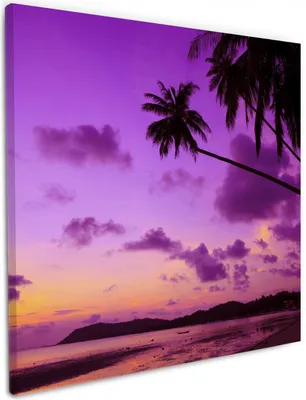 Produktbild von Wallario Premium Leinwandbild Sonnenuntergang unter Palmen  Himmel in lila und orange in Größe 50 x 50 cm