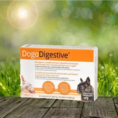 Produktbild von Dogoteka DogoDigestive 30 Tbl.