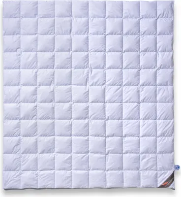 Produktbild von Sommerbettdecke 200x220 Premium: 100% neue Daunen Klasse 1, atmungsaktiv,10x11 Karo Stepp