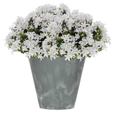 Produktbild von Prosperplast Blumentopf - Kunststoff - Bronze - D40 x 37 cm