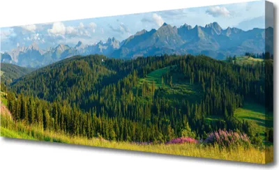 Produktbild von Tulup Leinwand-Bilder 125x50 Wandbild Canvas Kunstdruck Gebirge Wald Natur