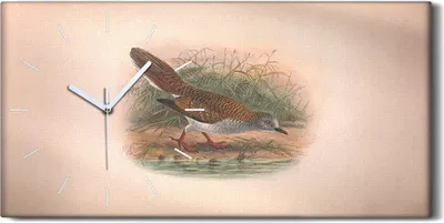 Produktbild von Küchenuhr Bürouhr Leinwand Uhr Quarz 60x30 Vögel Wild Tiere Zeichnung Kunst - weiße Hände