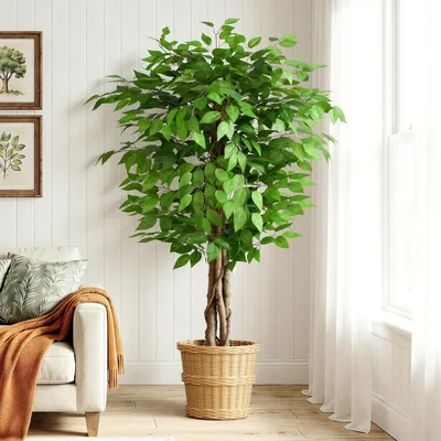 Image de Ficus artificiel, 150 cm de haut, grande plante artificielle avec un tronc en bois naturel, grand arbre artificiel pour le salon, la chambre, le bureau ou le jardin.