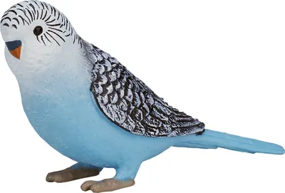 Zdjęcie produktu dla Mojo Fun Budgerigar Blue, 3 lat(a), FARMLAND, Niebieski, Polichlorek winylu (PVC)