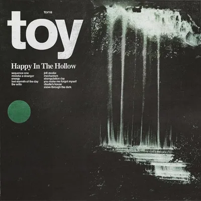 Obrázok produktu pre ImportCDs Happy in the Hollow, Pop rock, Vinyl, Fyzické médiá, Dospelý, 1 disky, 24/01/2019