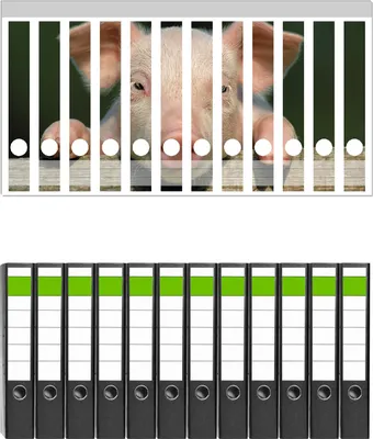 Produktbild von Wallario 12 Stück schmale Ordner inkl. Klebeetiketten mit Motive Süßes Ferkel auf dem Bauernhof in Nahaufnahme -  Set mit Rückenschildern / Ordnerrücken Stickern