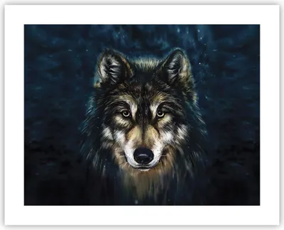 Produktbild von Poster - Poster ohne Rahmen - Wolf Dunkel Grafik - 50x40 cm - Wand Bild - Wanddeko - Wandbilder - Kunstposter - Wandposter - Bilder - Kunstdruck - Wanddekoration - Wandbild - P2XAA50x40-4845