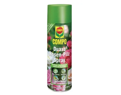Produktbild von COMPO Duaxo® Rosen-Pilz Spray - 400 ml