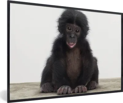 Produktbild von MuchoWow® Gerahmtes Poster Kind - Affe - Schimpanse - Babytiere - Jungen - Mädchen 30x20 cm - Poster mit Schwarzem Bilderrahmen Wandposter Rahmen Foto Bilder - Kunstdruck - Bild-Poster