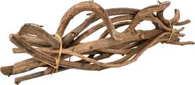 Produktbild von Cipo Fina Lianen, ca. 10 Stück , Länge ca. 30cm | Deko-Lianen