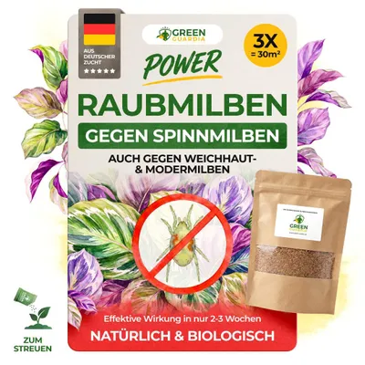 Produktbild von Power Raubmilben gegen Spinnmilben – Streuware mit 3x Tüten für 30m² -Mittel zur effektiven Spinnmilben Bekämpfung für Zimmerpflanzen, Cannabis uvm