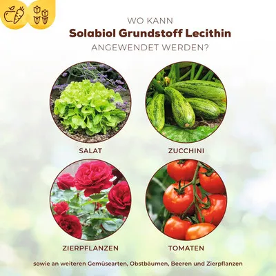 Produktbild von Grundstoff Lecithin Solabiol Pflanzenstärkung 800ml bis zu 21L Spritzbrühe