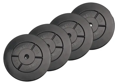 Productafbeelding van Iron Gym - Halterschijven 4 X 5 Kg
