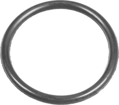 Zdjęcie produktu dla Oring Cedrus myjka ciśnieniowa CEDMC90 560039