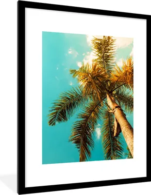 Produktbild von MuchoWow® Gerahmtes Poster Palme - Sommer - Tropisch 60x80 cm - Poster mit Schwarzem Bilderrahmen Wandposter Rahmen Foto Bilder - Wohnzimmer - Dekorationen - Prämie
