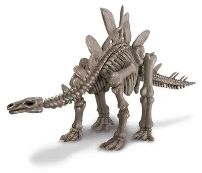 Produktbild von 4m Stegosaurus-skelett Ausgrabungsset Durchsichtig Durchsichtig One Size