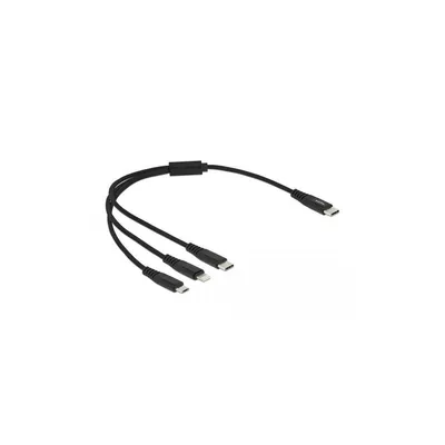 Image de DELOCK USB Ladekabel 3 in 1 USB Type-C zu 8 Pin Lightning