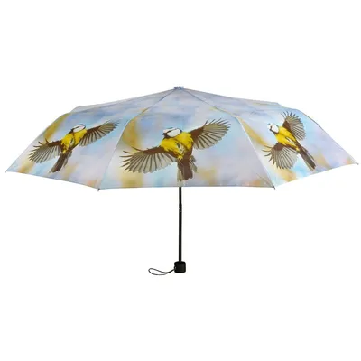 Produktbild von Esschert Design Regenschirm mit Blaumeisen Motiv zusammenfaltbar