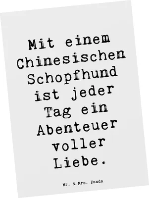 Produktbild von Mr. & Mrs. Panda Postkarte Spruch Chinesischer Schopfhund Abenteuer - Weiß - Geschenk, bildkarte, Neugier, Lebensfreude, Postkarten, Hunderassen Beschreibung, Hunderasse