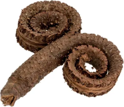 Produktbild von Palm Ring Natur, Größe ca. 10-12cm | Borassus flabellifer