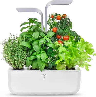 Immagine prodotto di Véritable Smart, seminatrice automatica con controllo della luce, bianco 4 ricariche per erbe aromatiche