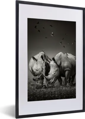 Produktbild von MuchoWow® Gerahmtes Poster Nashorn - Vogel - Tiere - Landschaft - Schwarz und weiß 40x60 cm - Poster mit Schwarzem Bilderrahmen Wandposter Rahmen Foto Bilder - Poster in Rahmen