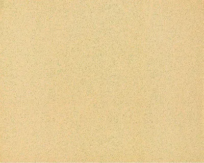 Image de EDEM 917-23 XXL Papier peint intissé haut de gamme abricot dorée | 10,65 m2