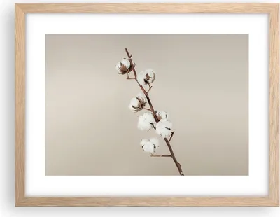 Produktbild von Gerahmtes Poster - Rahmen in heller Eiche - Baumwolle Zweig Boho - 40x30 cm - Wand Bild - Wanddeko - Wandbilder - Kunstposter - Wandposter - Bilderrahmen - Bilder - Kunstdruck - P2NAA40x30-4730